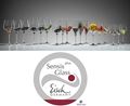 Picture of Eisch Sensis Plus, Superior Burgundy Wine Glasses - Set Of 6