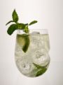 Picture of Govino Dishwasher Safe White Wine/Cocktail Glass – 4 Pack
