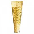 Picture of Champagne glass Champus Ritzenhoff 1070177